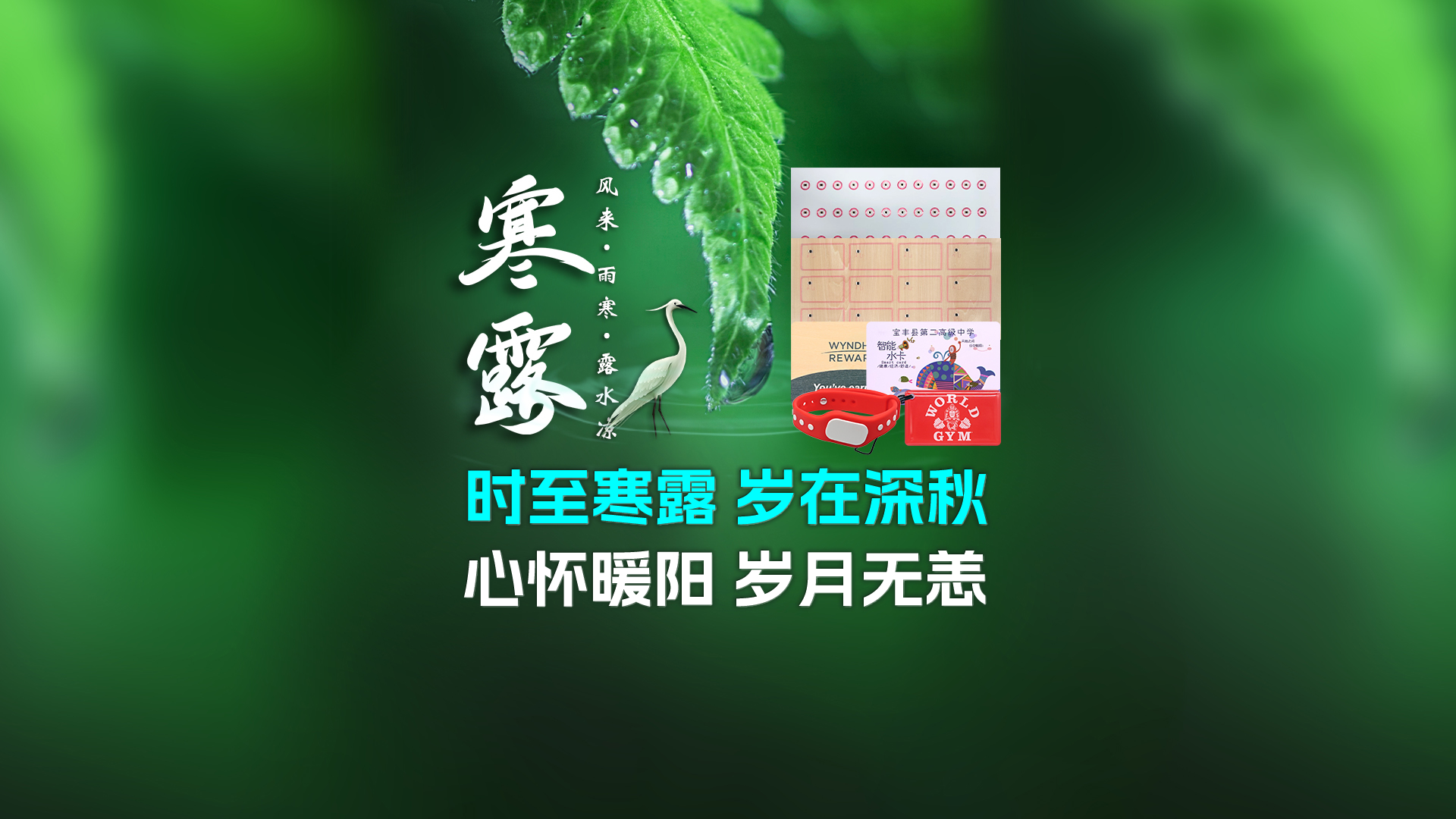 寒露至秋意濃，卡立方集團(tuán)攜RFID智能卡中料木卡腕帶伴您暖度深秋